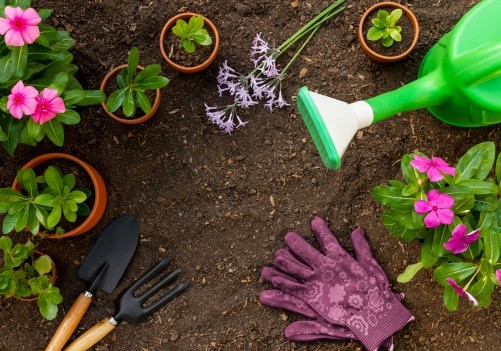 Imagem de jardim - (Foto: reprodução Freepik)