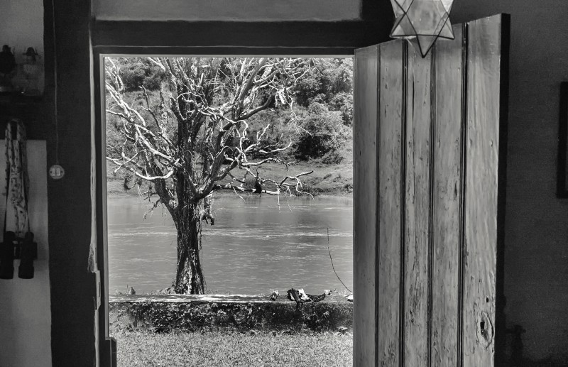 Em mais de 200 imagens e textos, um livro, que registra parte da natureza e da cultura do Vale do Ribeira, obra dos fotógrafos Paulo Jolkesky e Ricardo Martinelli, será lançado pela Funarte, no dia 6 de outubro. A programação de lançamento inclui uma mini