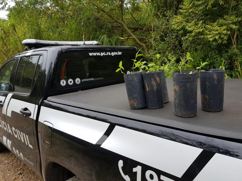 Crédito: Divulgação/Polícia Civil