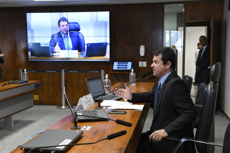 O presidente da CTFC é o senador Reguffe - Roque de Sá/Agência Senado