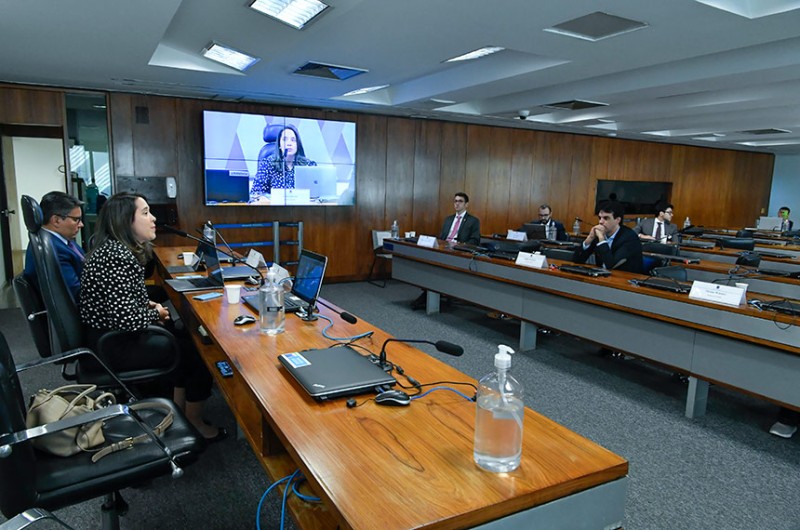 Laura Schertel Ferreira Mendes é relatora do colegiado - Waldemir BarretoAgência Senado