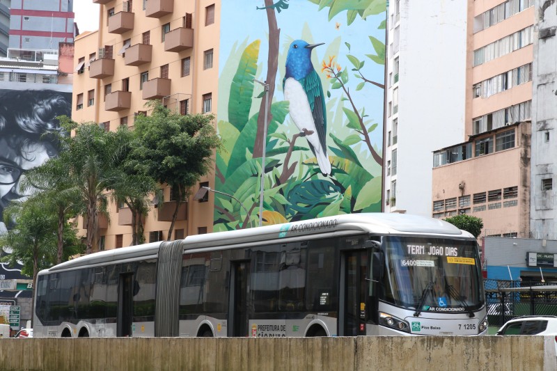 Estados também podem oferecer transporte gratuito no segundo turno