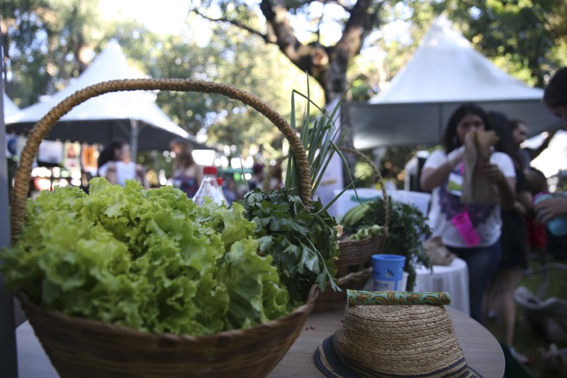 © José Cruz/Agência Brasil