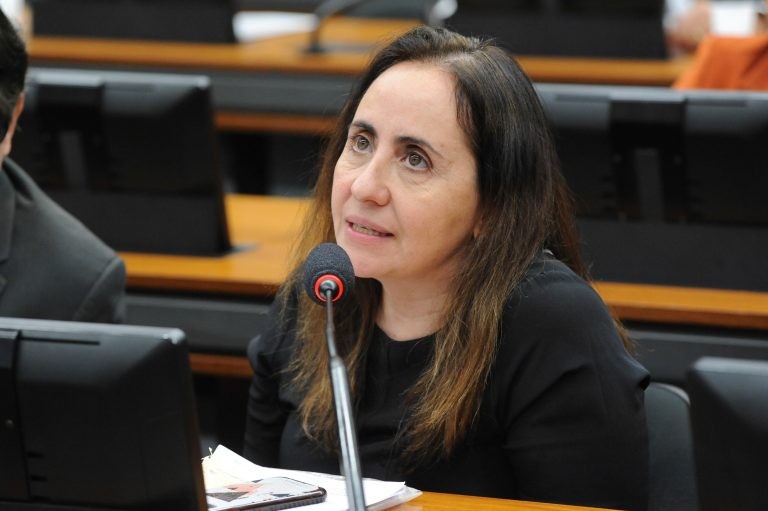 Adriana Ventura: o projeto inclui a liberdade de imprensa entre as diretrizes da LAI - (Foto: Billy Boss/Câmara dos Deputados)