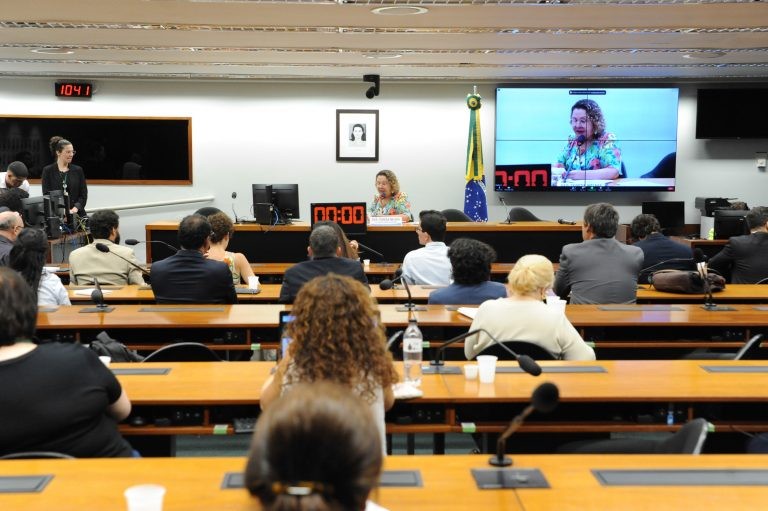 Deputada Tereza Nelma conduz a reunião desta quarta - (Foto: Billy Boss/Câmara dos Deputados)