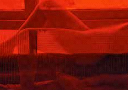 Exposição sobre Leila Reinert será aberta na Funarte SP - (Foto: divulgação)