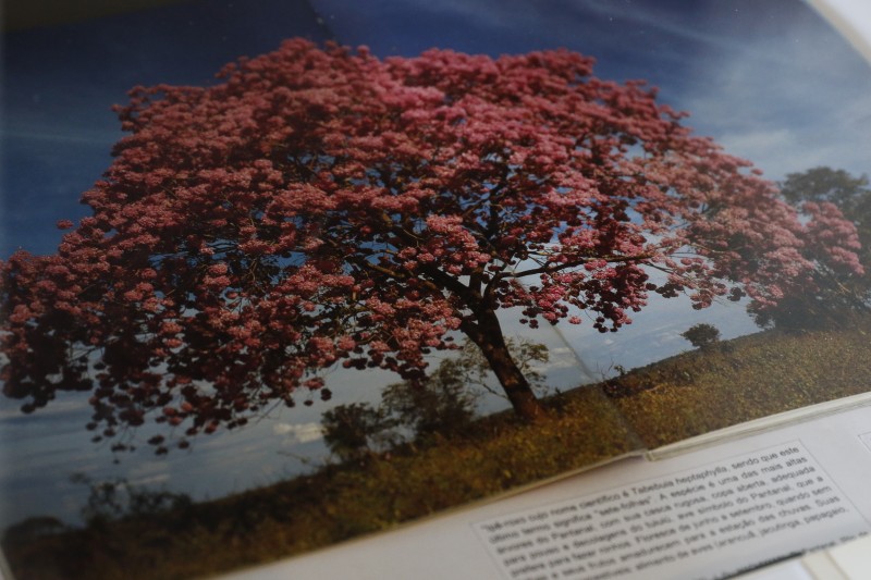 © Fernando Frazão/Agência Brasil