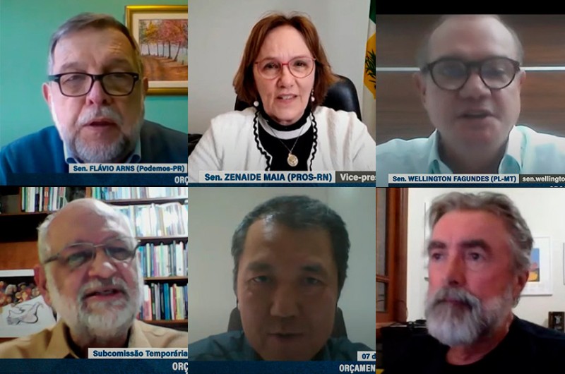 Flávio Arns, Zenaide e Wellington (ao alto) na audiência remota com especialistas em financiamento educacional - Agência Senado