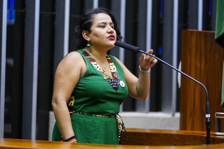 Vivi Reis recomendou a aprovação de um texto reunindo três projetos - (Foto: Pablo Valadares/Câmara dos Deputados)