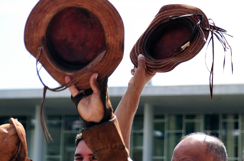 Projeto representa homenagem à cultura nordestina, salienta o senador Angelo Coronel - Geraldo Magela/Agência Senado