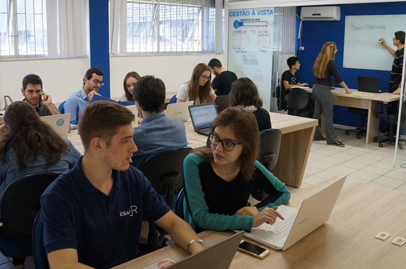 Empresas juniores conciliam o conhecimento teórico a uma visão de negócio - Divulgação/Esag JR/Udesc Esag