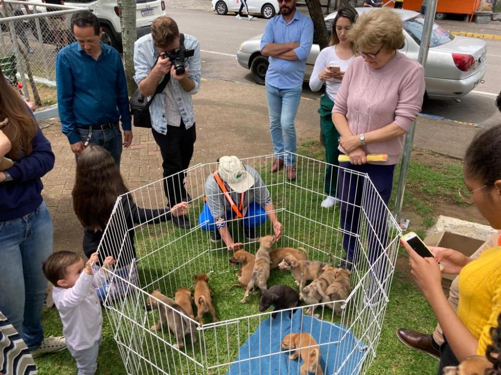A protetora independente cadastrada na Prefeitura, Carine Rossoni, levou 16 filhotes resgatados e destes, nove foram adotados na data. Crédito: Emanuele Nicola