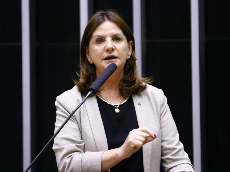 Carmen Zanotto: realidade das famílias brasileiras é marcada por vínculos de afeto não restritos à consanguinidade - (Foto: Marina Ramos/Câmara dos Deputados)