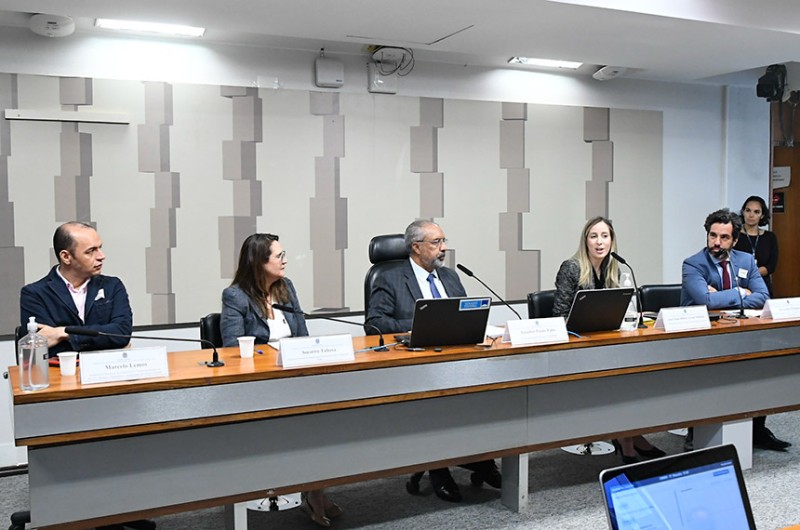 O senador Paulo Paim (PT-RS) coordenou a audiência pública