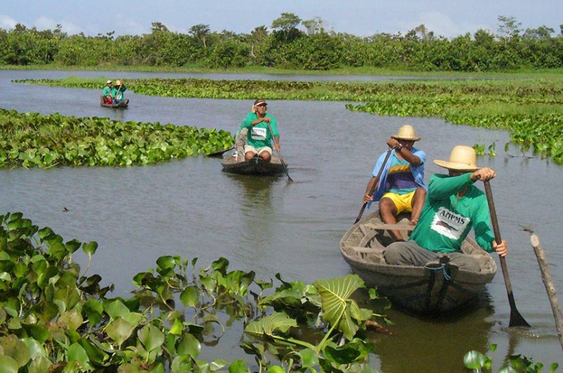 Serviços prestados pelos ecossistemas também beneficiam os seres humanos e podem ser referenciados em títulos negociáveis - Ipam