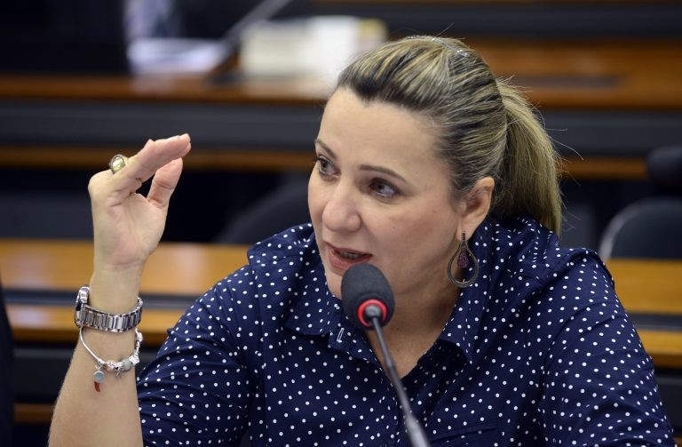 Texto aprovado é substitutivo de Dulce Miranda - (Foto: Gilmar Felix - Câmara dos Deputados)