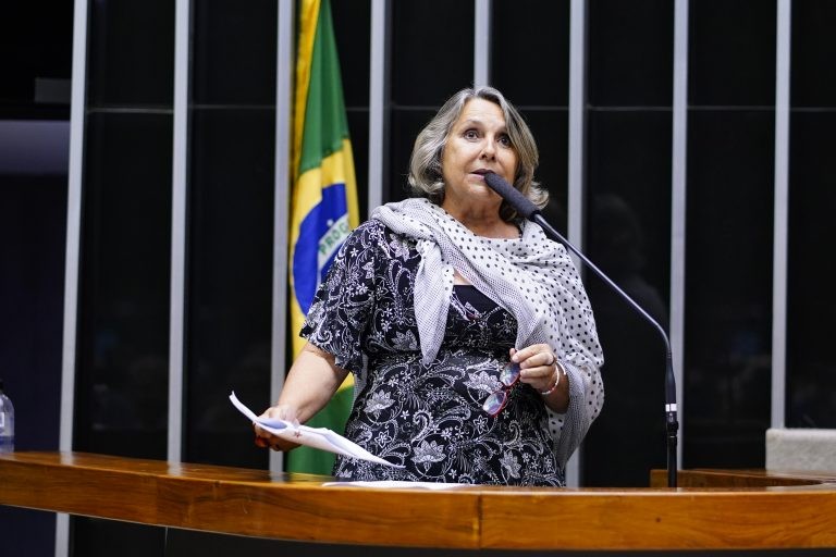 Erika Kokay, relatora do projeto de lei - (Foto: Pablo Valadares/Câmara do Deputados)