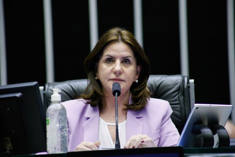 Carmen Zanotto: medida é benéfica para os usuários do SUS - (Foto: Elaine Menke/Câmara do Deputados)