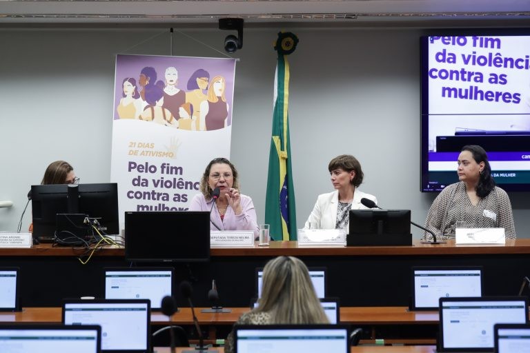 Tereza Nelma (ao microfone) lembra que a informalidade no mercado de trabalho é maior entre as mulheres - (Foto: Bruno Spada/ Câmara dos Deputados.)
