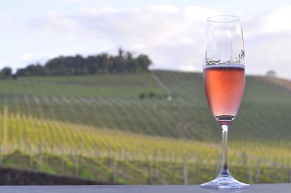 Para ter direito ao uso do Selo da DO em seus espumantes naturais, as vinícolas Aurora, Don Giovanni, Geisse e Valmarino têm que cumprir regras rigorosas de controle, desde o cultivo das uvas até o engarrafamento