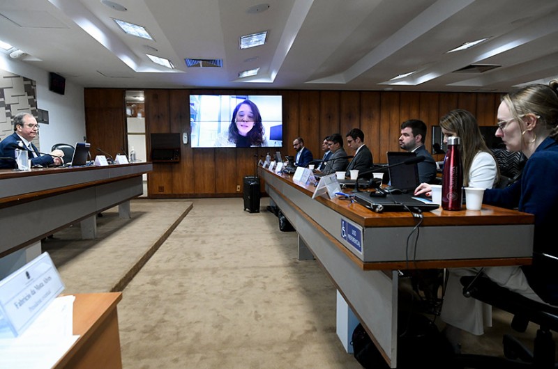 Laura Schertel , no telão: garantia de direitos fundamentais pautou trabalho da comissão