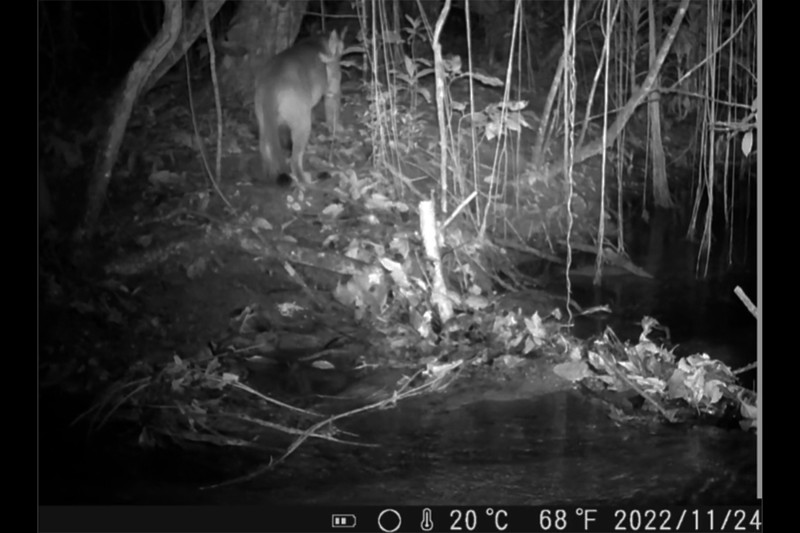 © Divulgação/Ceads Uerj