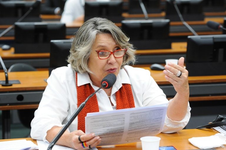 Kokay: servidores têm denunciado o descarte de documentos pelo atual governo - (Foto: Billy Boss/Câmara dos Deputados)