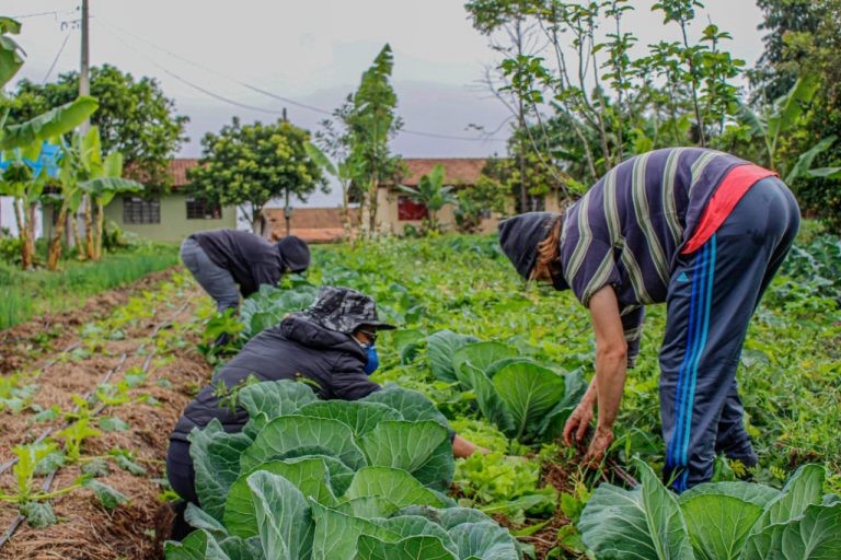 A agricultura familiar é uma das áreas que precisa de mais verba - (Foto: Leonardo Henrique e Valmir Fernandes/Fotos Públicas)