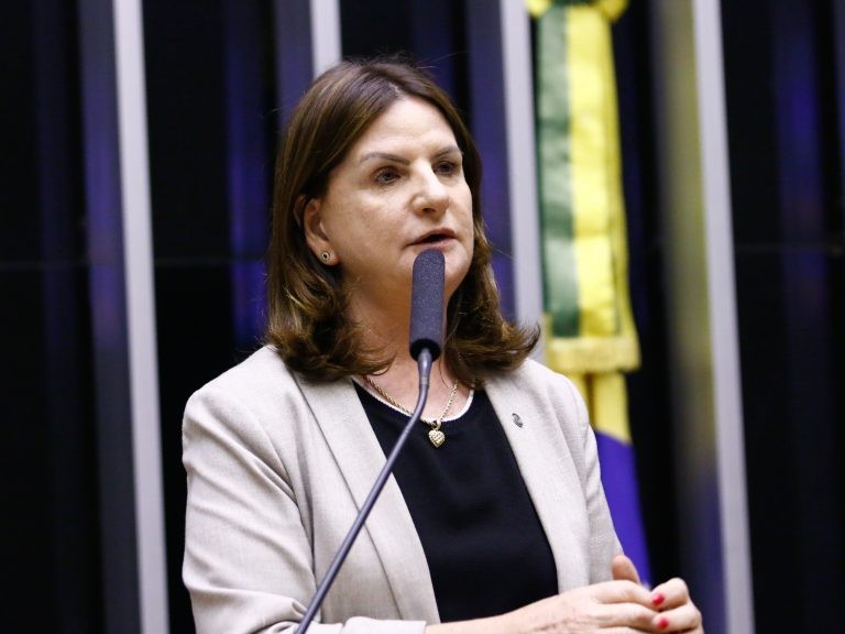 Carmen Zanotto: essas entidades promovem ações relevantes para a sociedade - (Foto: Marina Ramos/ Câmara dos Deputados)