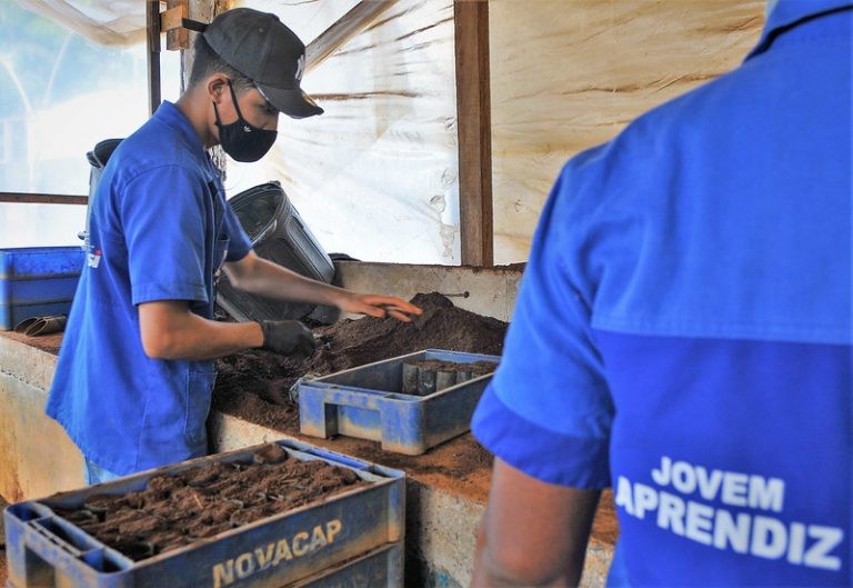Projeto analisado atualiza a legislação sobre a aprendizagem para o trabalho - (Foto: Acácio Pinheiro/Agência Brasília)