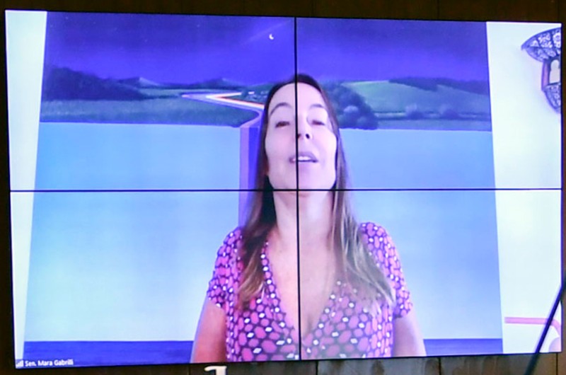 Mara Gabrilli conduziu a reunião por videoconferência - Edilson Rodrigues/Agência Senado