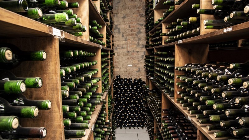 São quatro as declarações obrigatórias que devem ser cumpridas -Foto: Fernando Dias / Seapdr