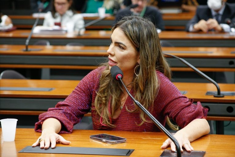 Paula Belmonte: relatório poderá orientar o próximo governo - (Foto: Elaine Menke/Câmara do Deputados)