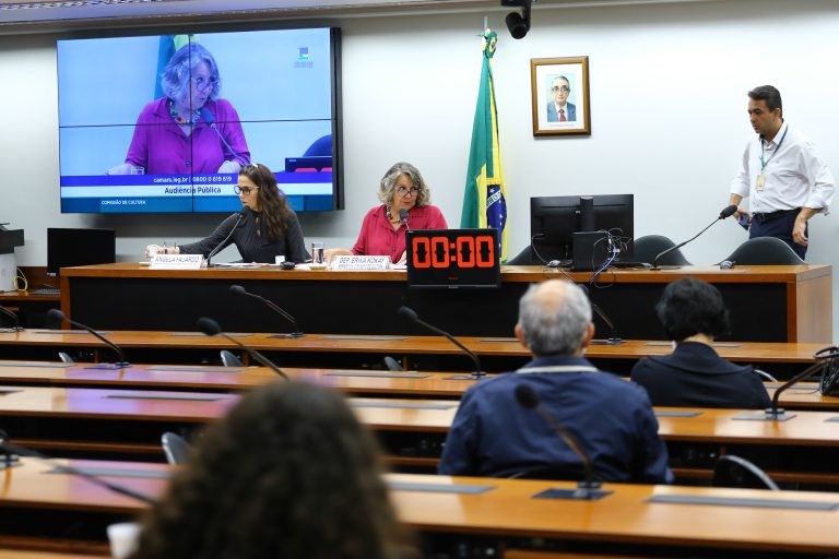 Erika Kokay defendeu a aprovação do projeto na comissão - (Foto: Vinícius Loures/Câmara dos Deeputados)
