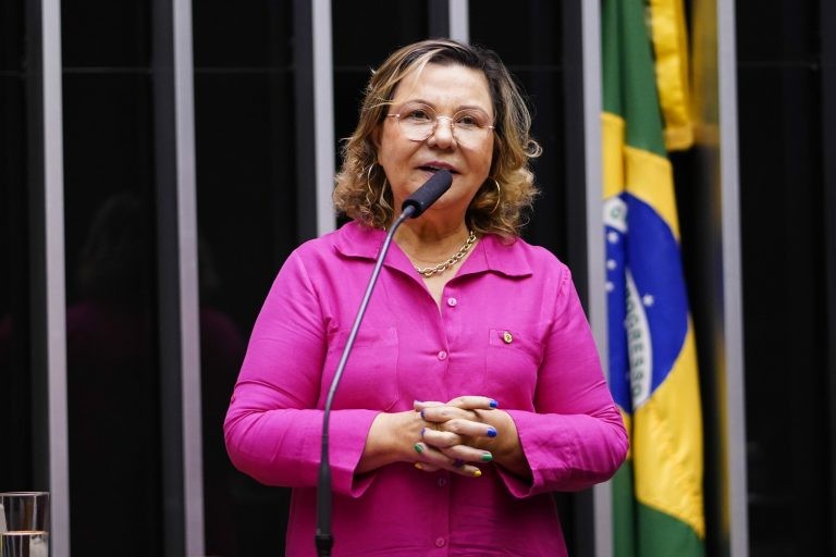 Tereza Nelma reuniu vários projetos num só texto - (Foto: Pablo Valadares/Câmara dos Deputados)