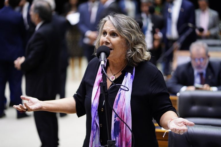 Erika: setor ainda precisa de apoio público para se recuperar do impacto da pandemia - (Foto: Pablo Valadares/Câmara dos Deputados)
