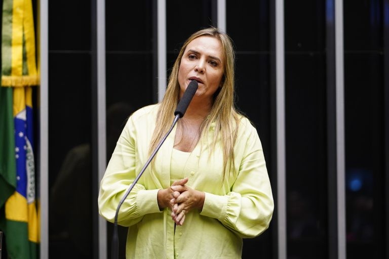 Celina Leão, coordenadora da bancada feminina - (Foto: Pablo Valadares/Câmara dos Deputados)