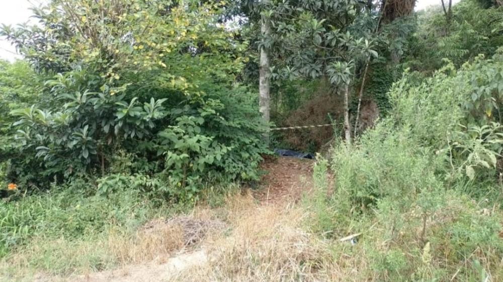 Crédito: Luís Carlos Muller/Rádio Spaço FM 