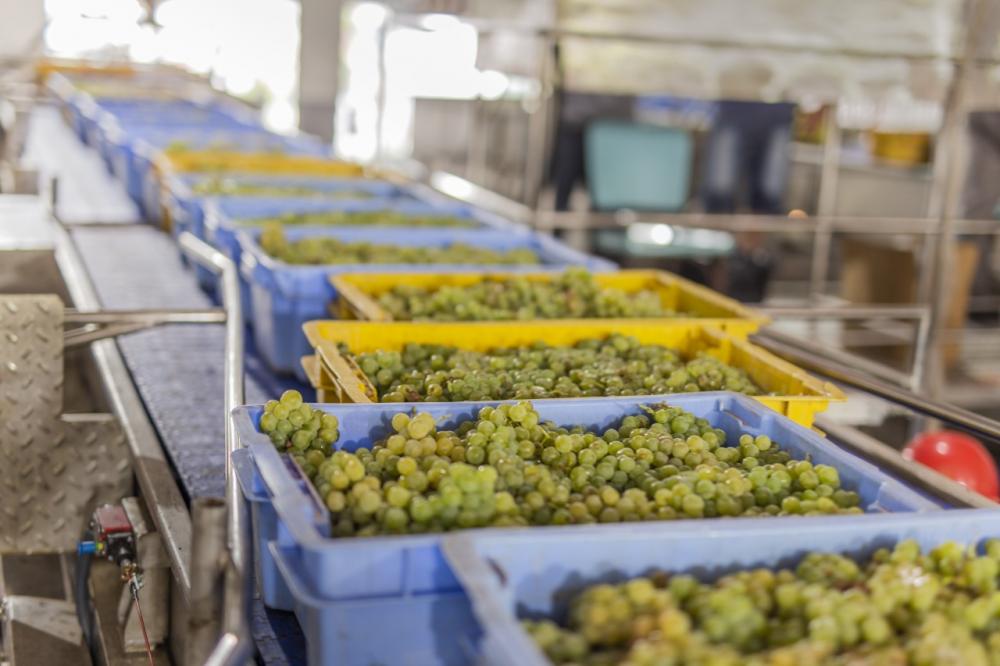 Produção já começou a chegar na Cooperativa Garibaldi - Foto: Augusto Tomasi/Vagão Filmes/Divulgação