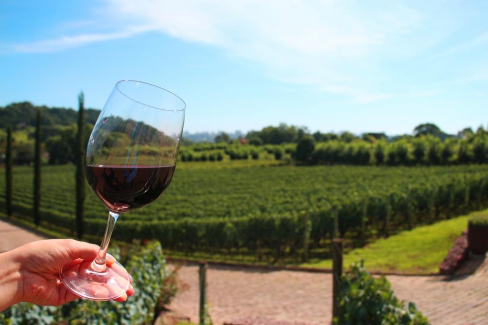 Crédito: Jose Martim Estefanon