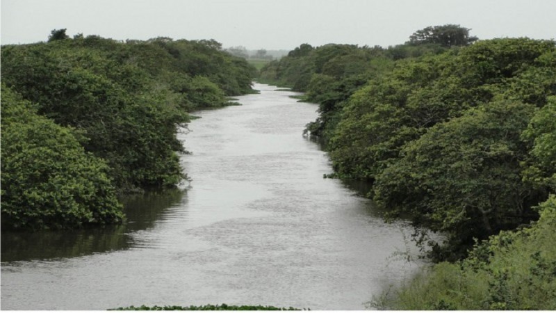O Comitê de Gerenciamento da Bacia Hidrográfica do Litoral Médio abrange o Rio Capivari -Foto: Divulgação/Comitê de Bacia Hidrográfica Litoral Médio