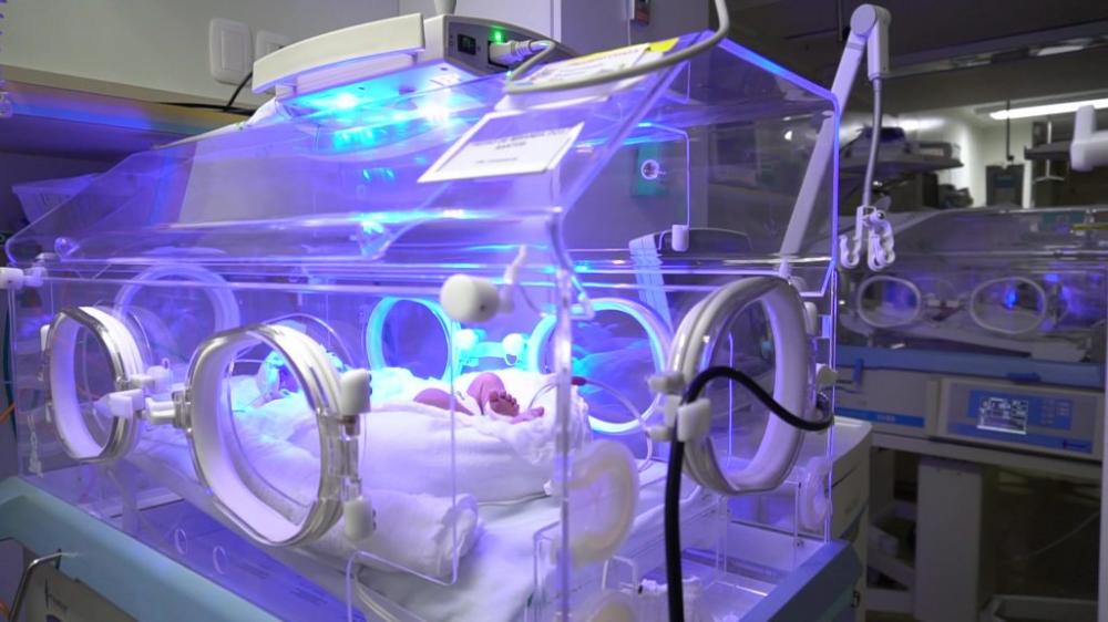 Crédito: Divulgação