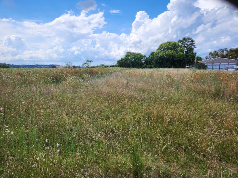 A Pista de Atletismo da cidade é para ser construída no antigo campo municipal, no bairro Planalto. Crédito: NB Notícias