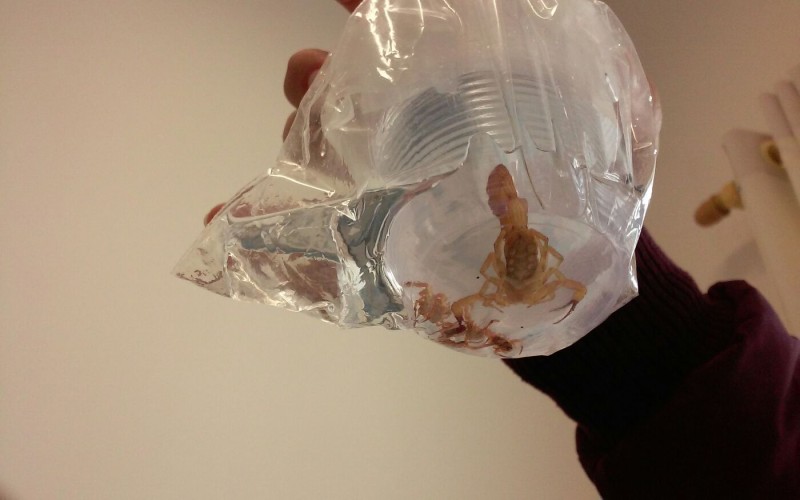 © Arquivo/Agência Brasil