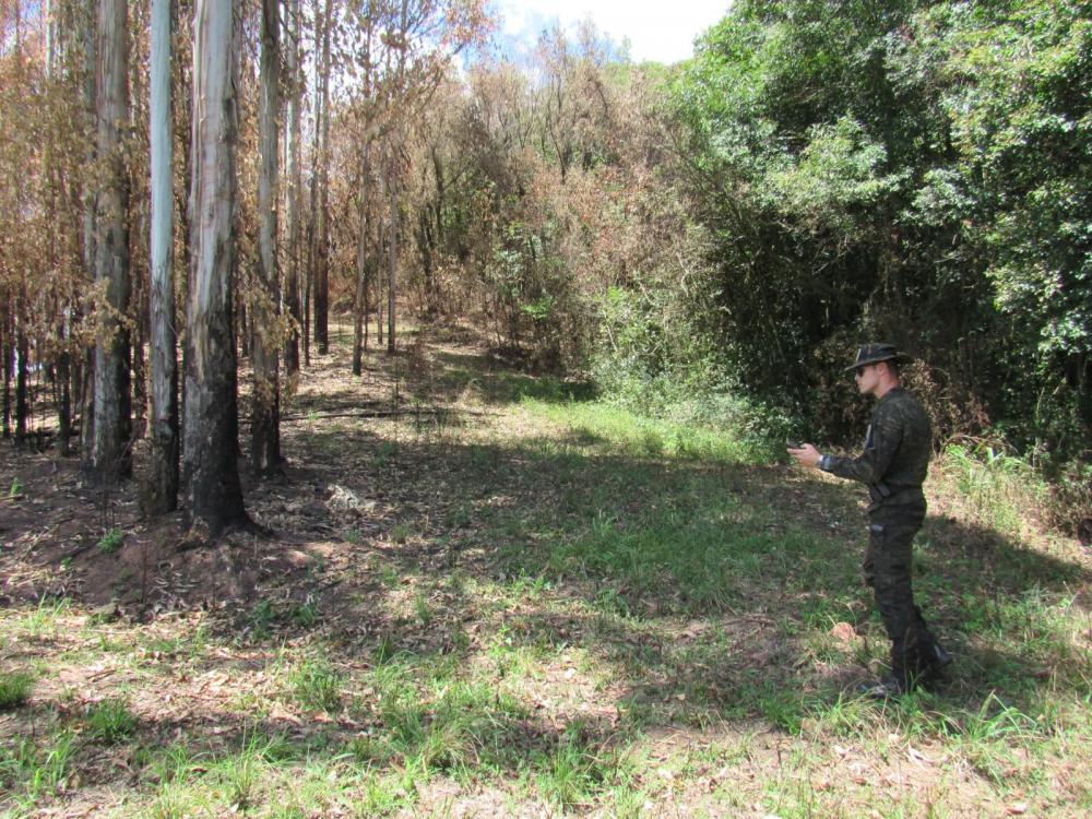 Diante dos crimes ambientais, foi confeccionado um Boletim de Ocorrência Policial para o responsável pelos danos. Crédito: 3° BABM de Caxias do Sul
