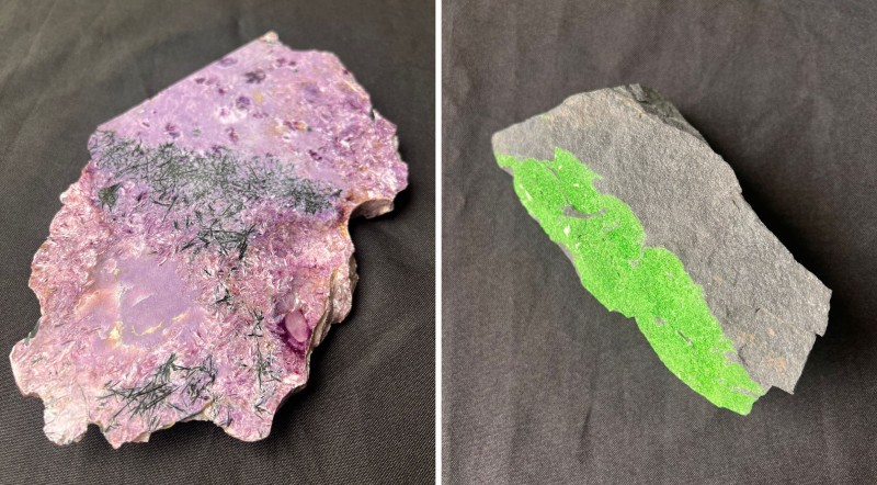 © Museu Nacional/UFRJ