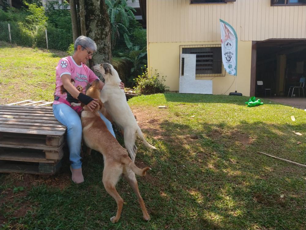 Maria Manuel está há cerca de 30 anos desempenhando trabalhos em prol da causa animal no município / Foto: Kévin Sganzerla