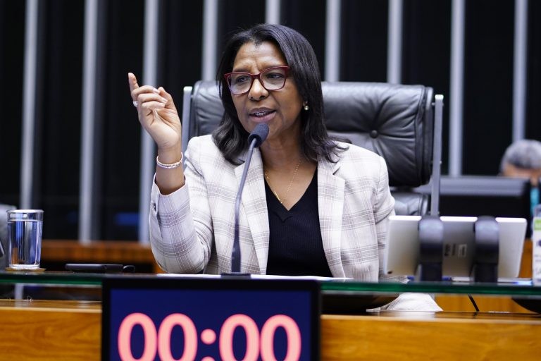 Rosangela Gomes: medida é benéfica e de utilidade geral para toda a população - (Foto: Pablo Valadares /Câmara dos Deputados)