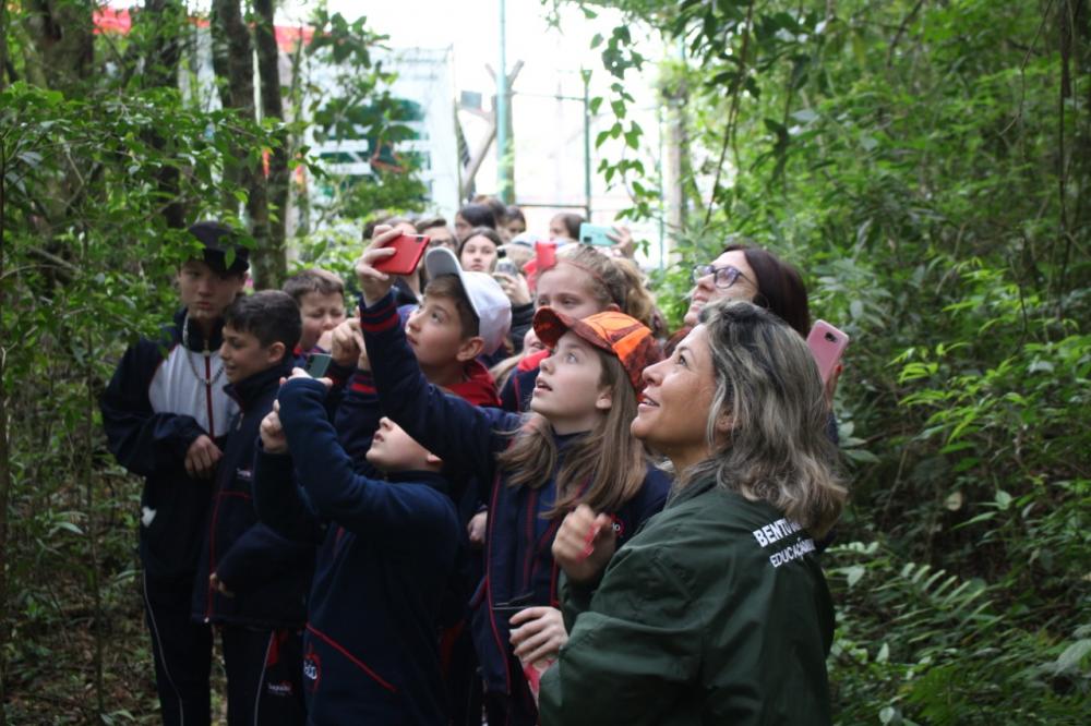 Crédito: Divulgação/SMMAM