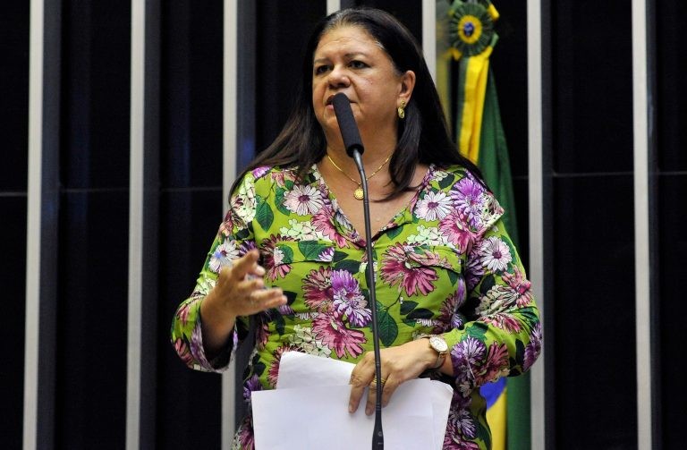 Para Laura Carneiro, a medida é importante para garantir à vítima o acesso à Justiça - (Foto: Luis Macedo/Câmara dos Deputados)